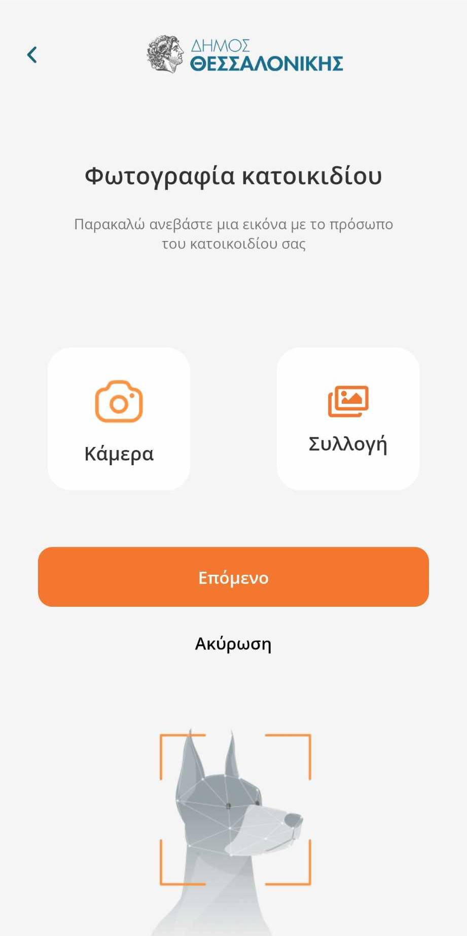 Screen