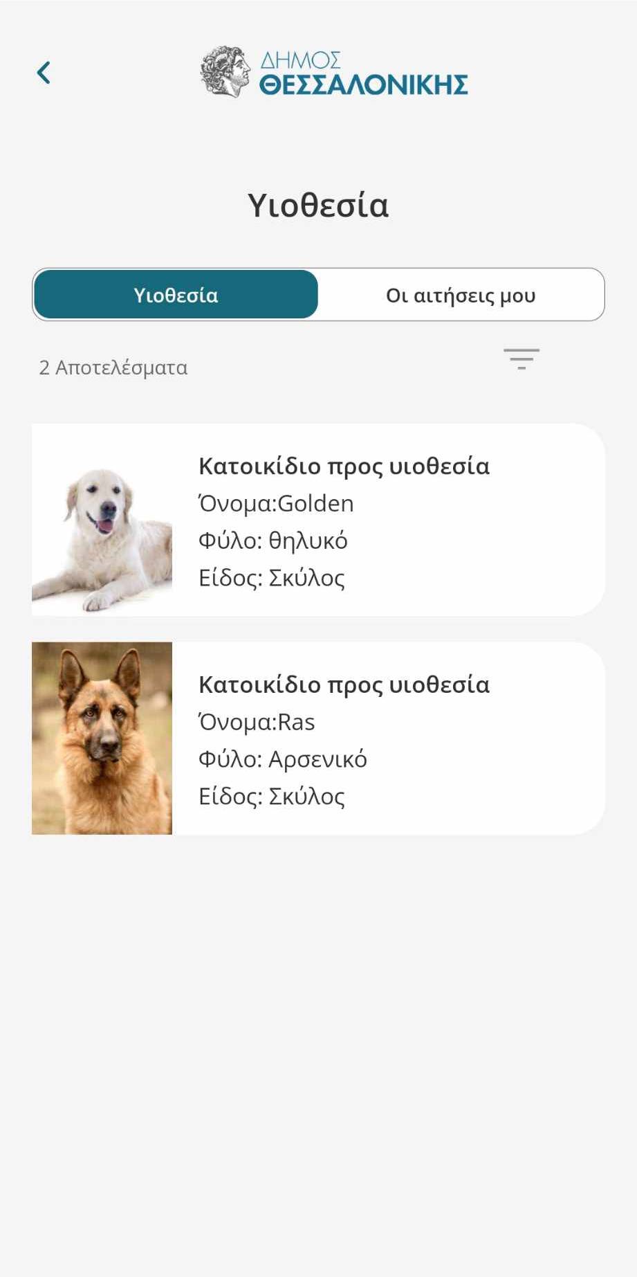Screen