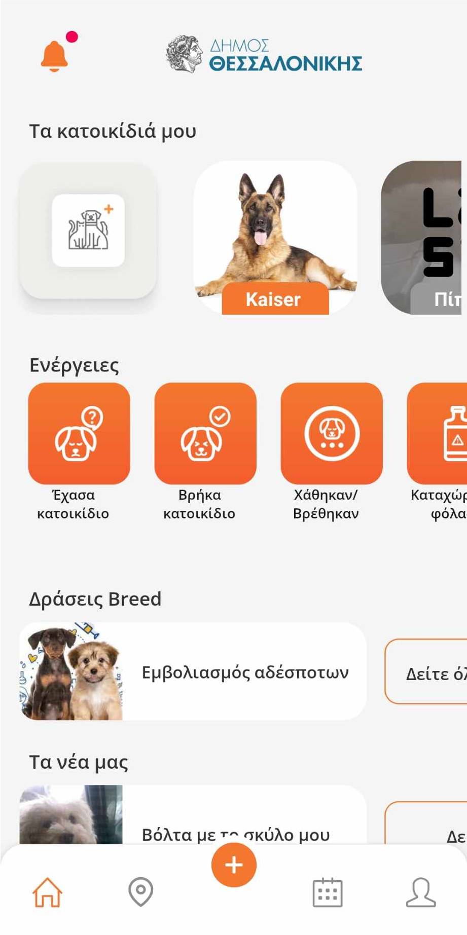 Screen
